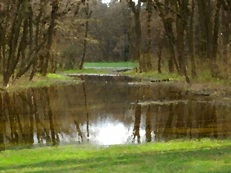 Tümpel an einer Waldlichtung